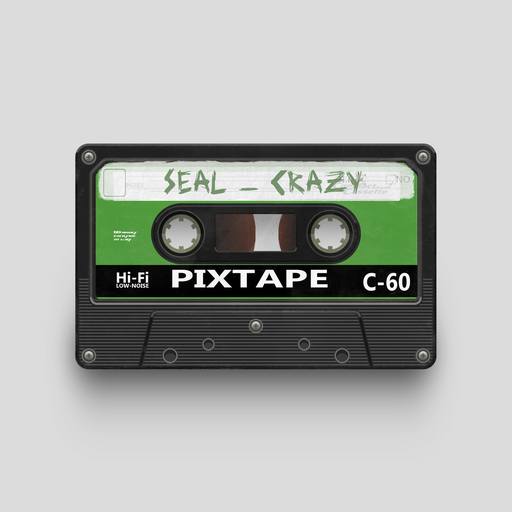 04301 - Seal - Crazy